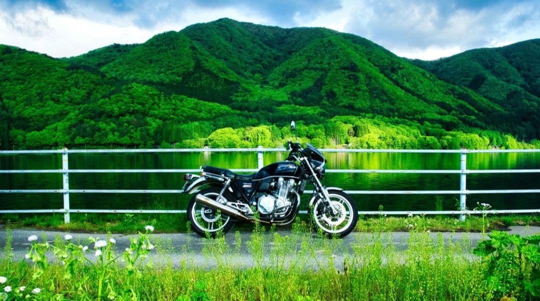 NIKON　D70s 広角から望遠まで　初心者⚡️ニコン⚡️一眼レフ