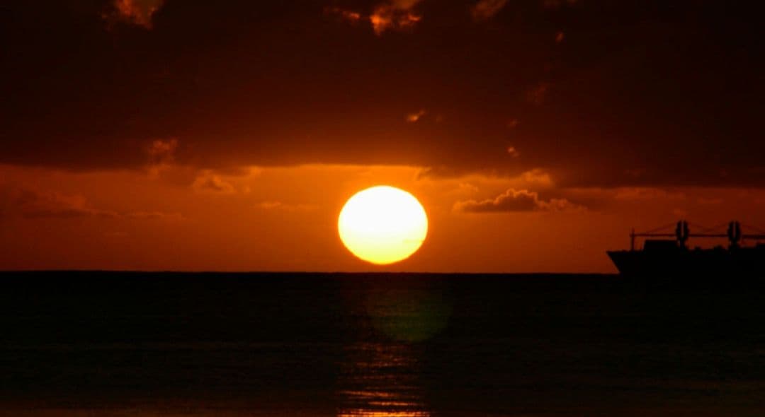 NIKON　D70s 広角から望遠まで　初心者⚡️ニコン⚡️一眼レフ