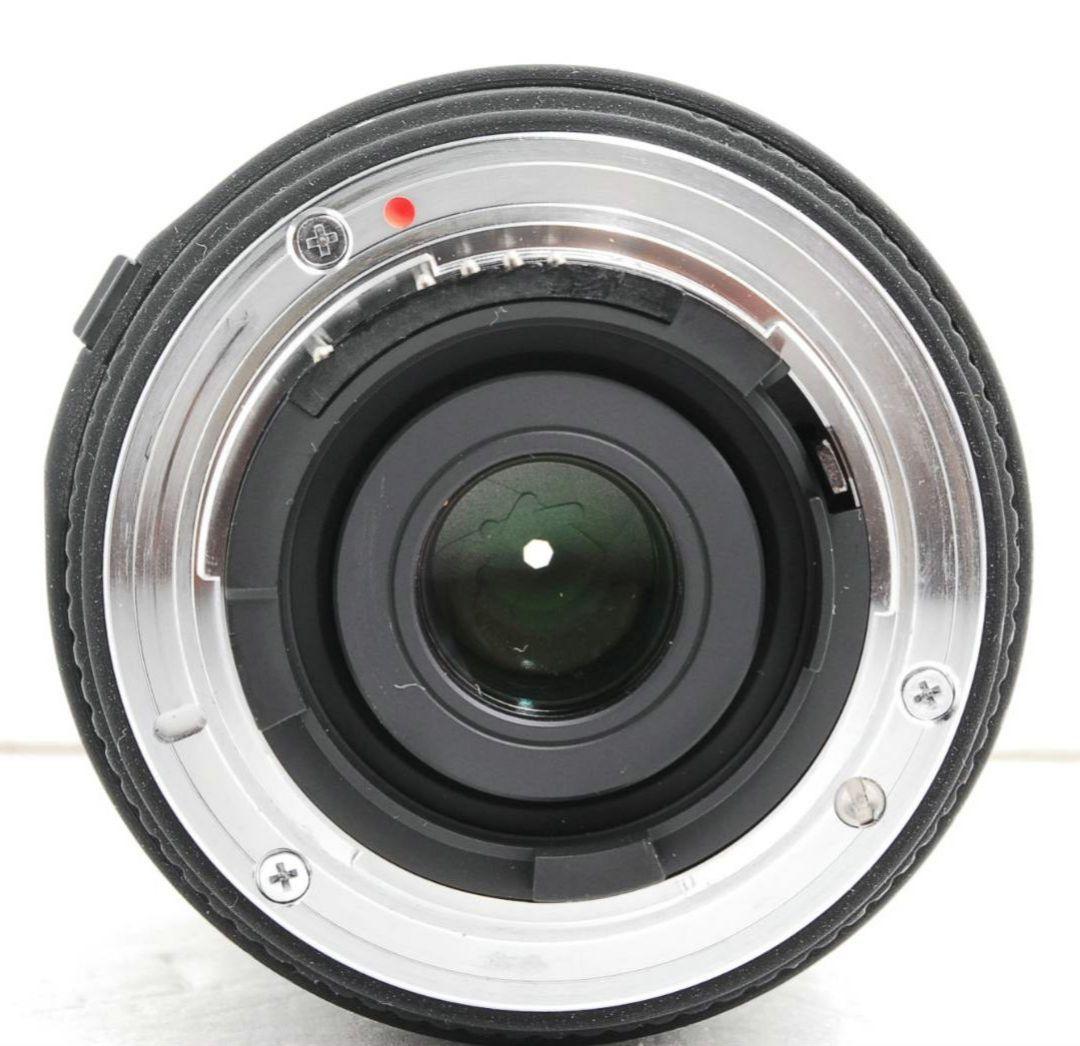 NIKON　D70s 広角から望遠まで　初心者⚡️ニコン⚡️一眼レフ