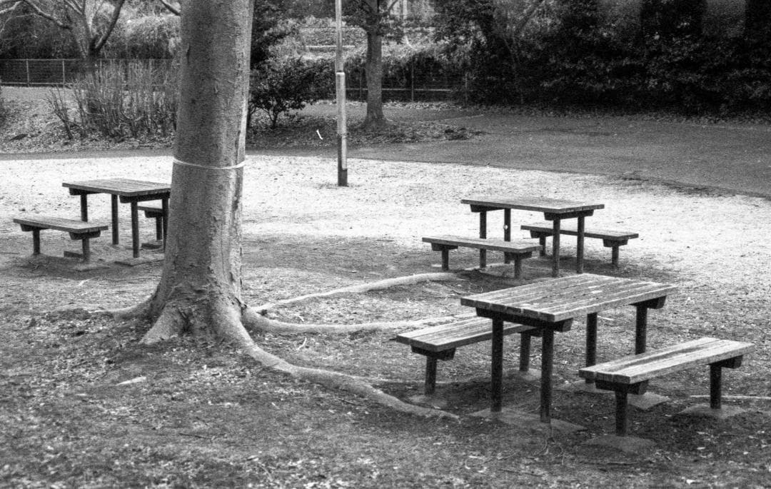 ＜作例試写済み＞Nikon F3 （F3AF）レンズ付