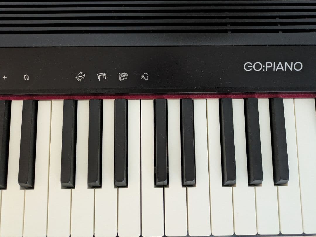 Roland GO-61P 24年製+ペダル(DP-10)