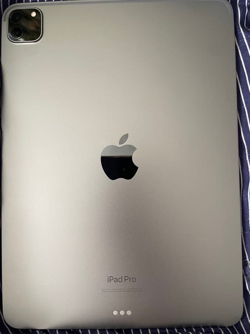 ［状態良好］iPad Pro 11 インチ 第4世代