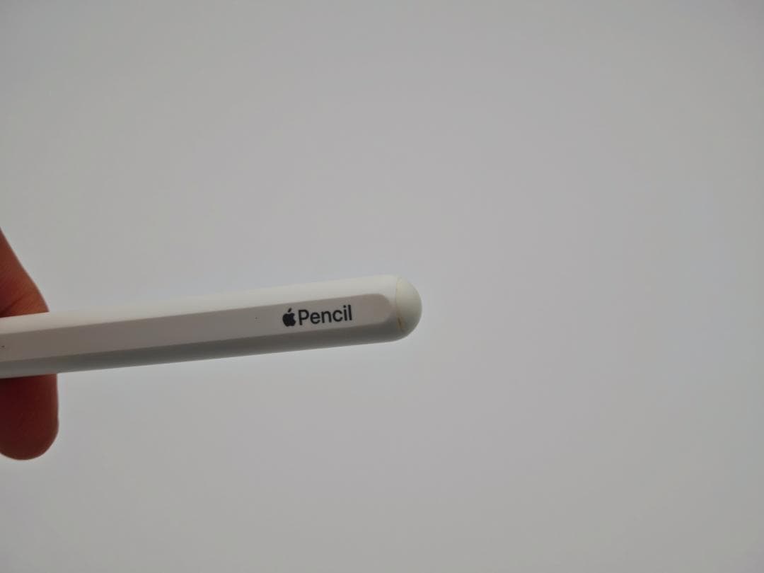 (表示不良) iPad Pro 11インチ 第4世代 Wi-Fi 128GB