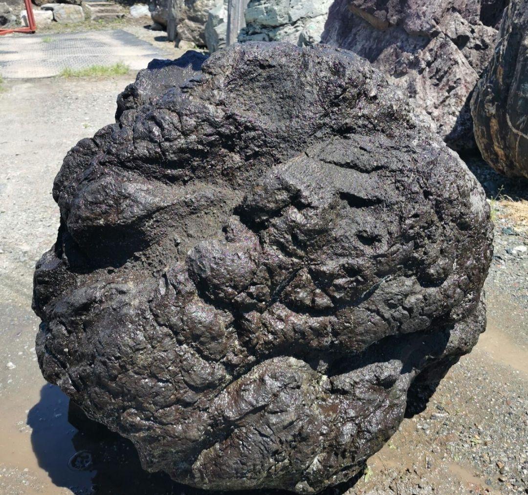 浅間溶岩石　421キロ　庭石　石　石材 庭　坪庭　ガーデニング