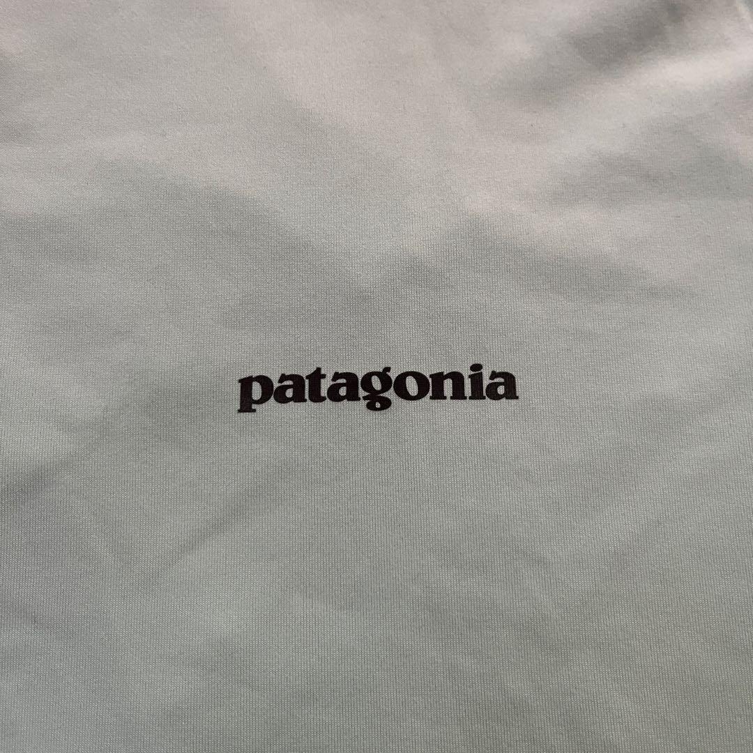 パタゴニア キャプリーンクールデイリーロングスリーブ フィッシュグラフィック