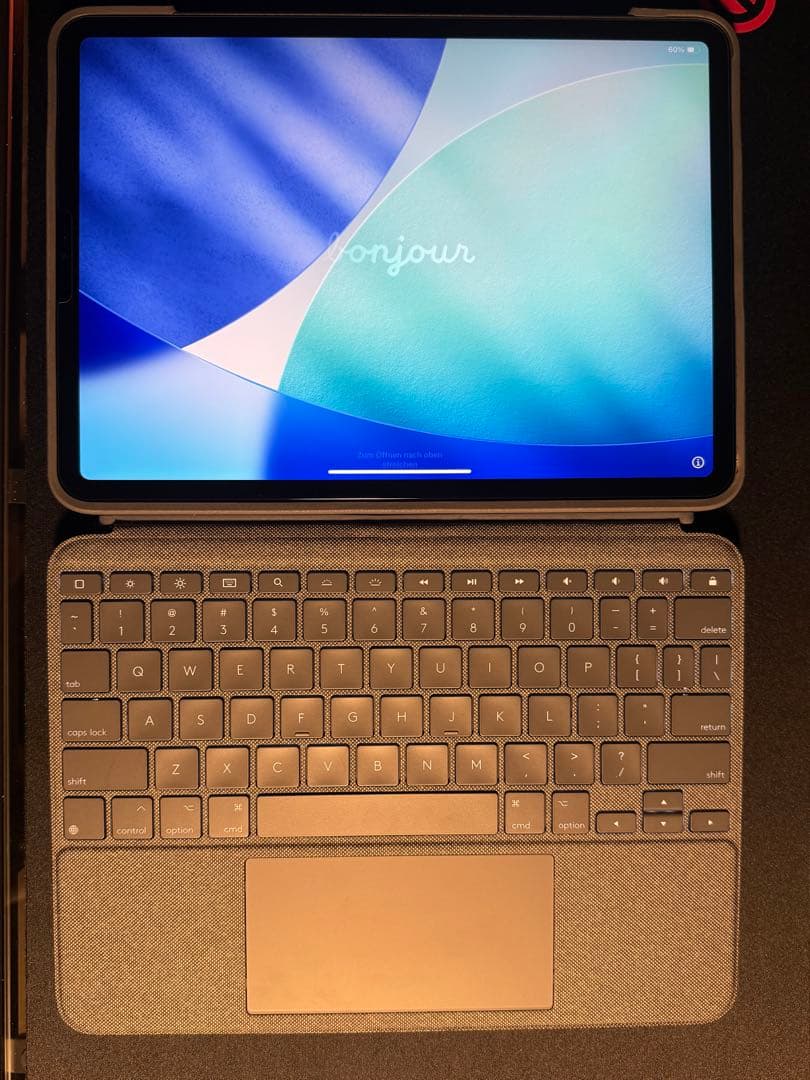 【ジャンク】iPad Pro M2 11インチ512GBスペースグレーWi-Fi