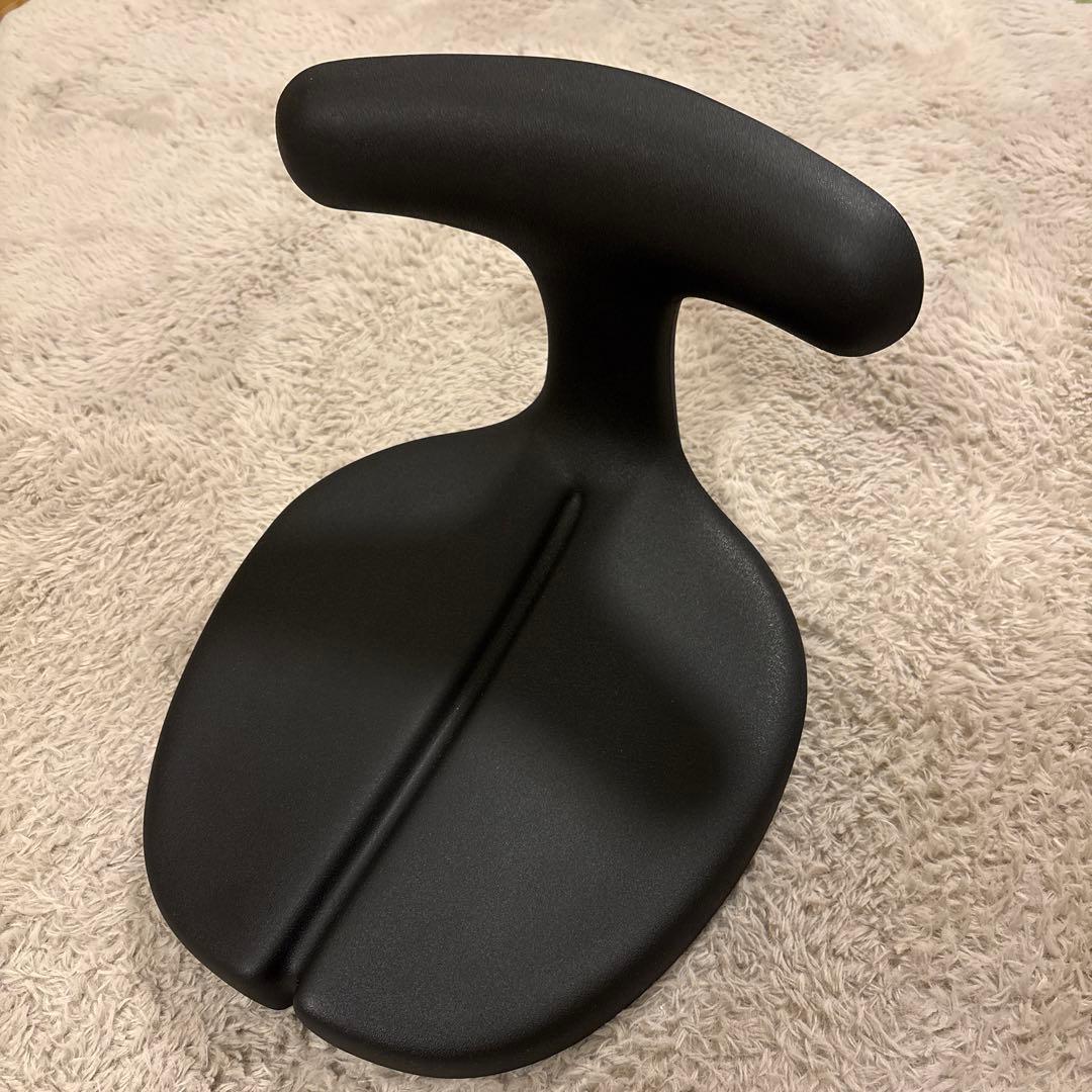 アーユルチェアー ayur-chair (座イス＆座面シートタイプ)