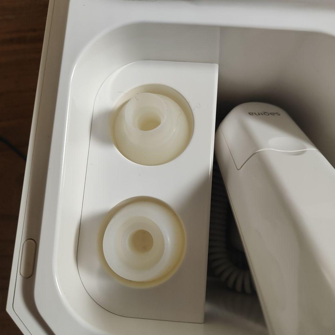 sagina ルルシェ美顔器　2021年式