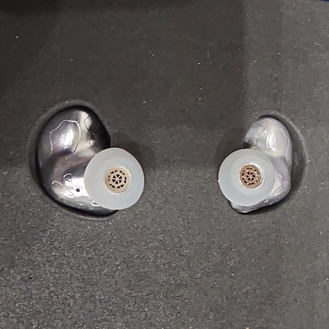 VSA Voidsilver Stalker イヤフォン