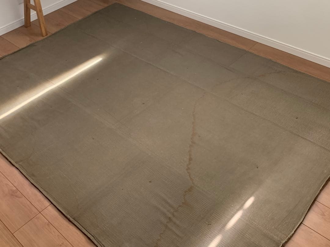 ACTUS アクタス ラグ