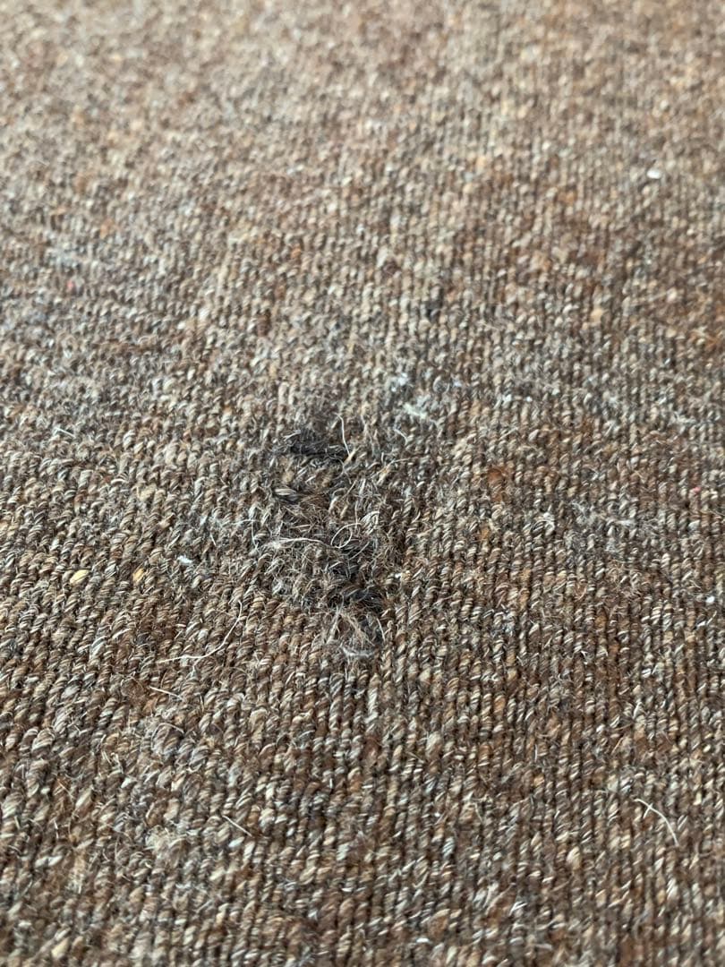 ACTUS アクタス ラグ