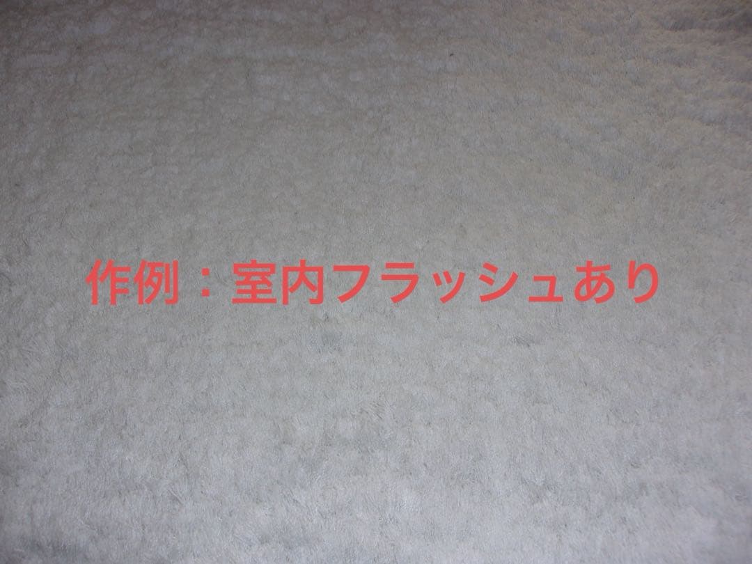 美品【動作確認済】Kodak コダック PIXPRO FZ43 レトロコンデジ