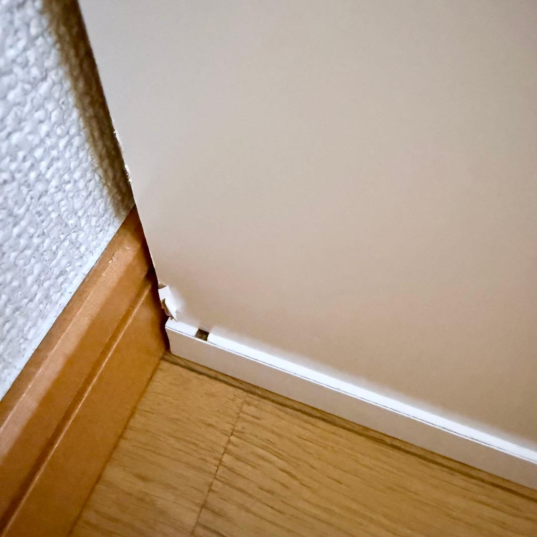 LOWYA ロウヤ 推し活収納 完成品 収納棚 oshiteru