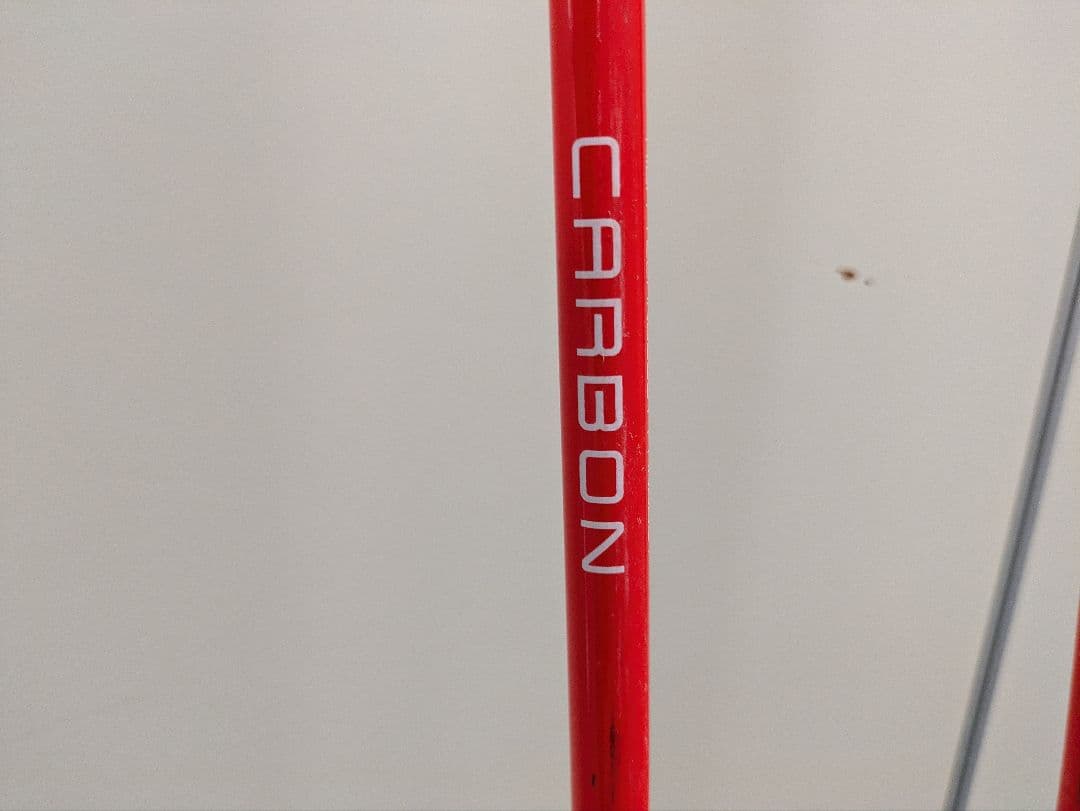 LEKI Venom Race スキー用ストック カーボン製　125センチ