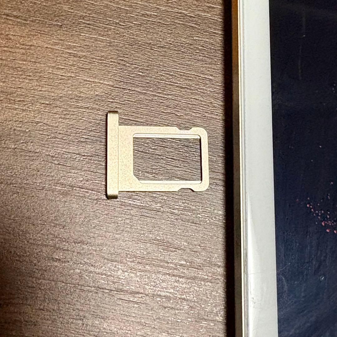 iPad mini 第4世代　バッテリー最大容量96%　Cellular