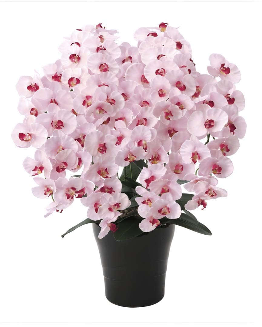 光触媒　人工観葉植物　フェイクグリーン　プレミアム胡蝶蘭7本立P