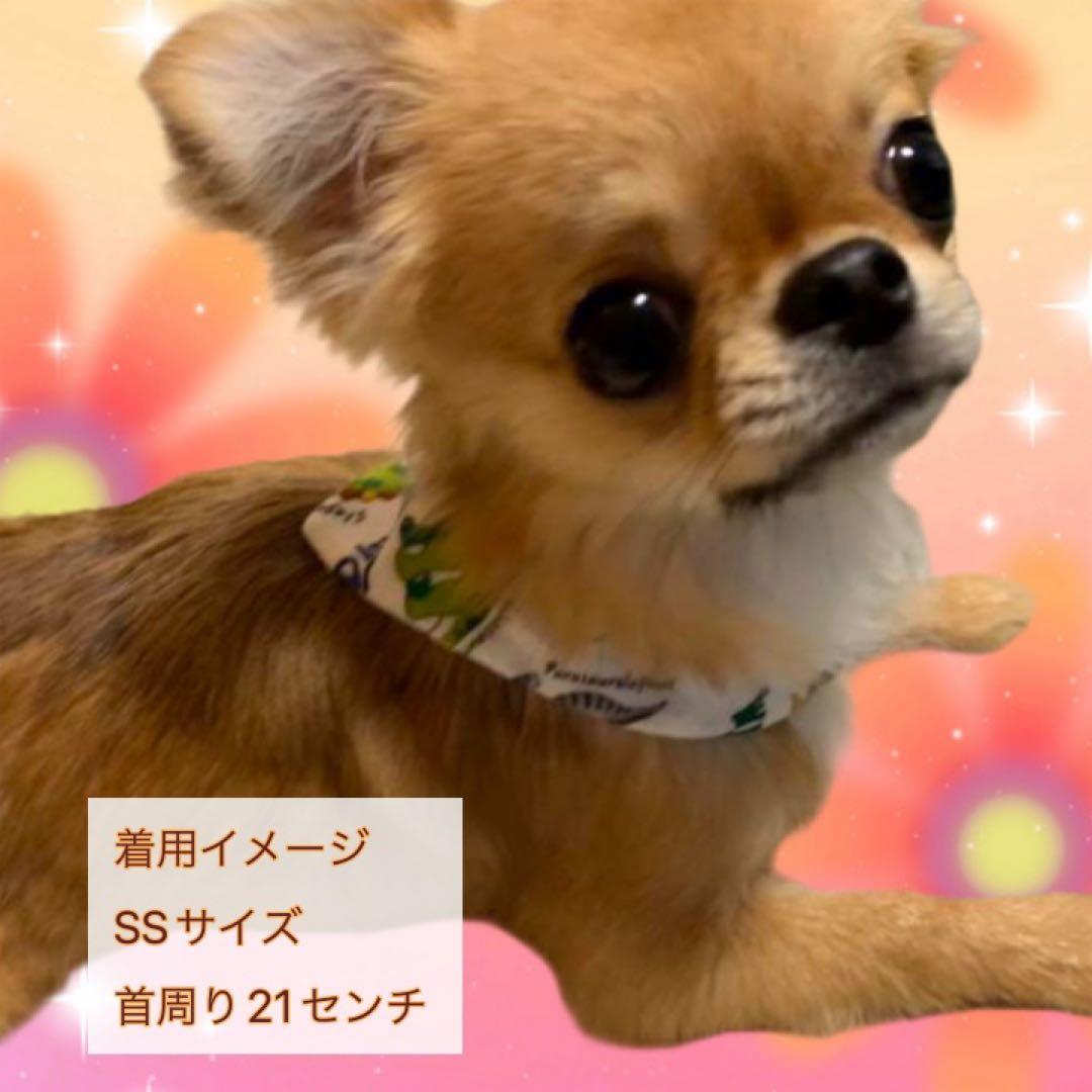 犬ネコ用リバーシブルバンダナ★着用イメージ写真★