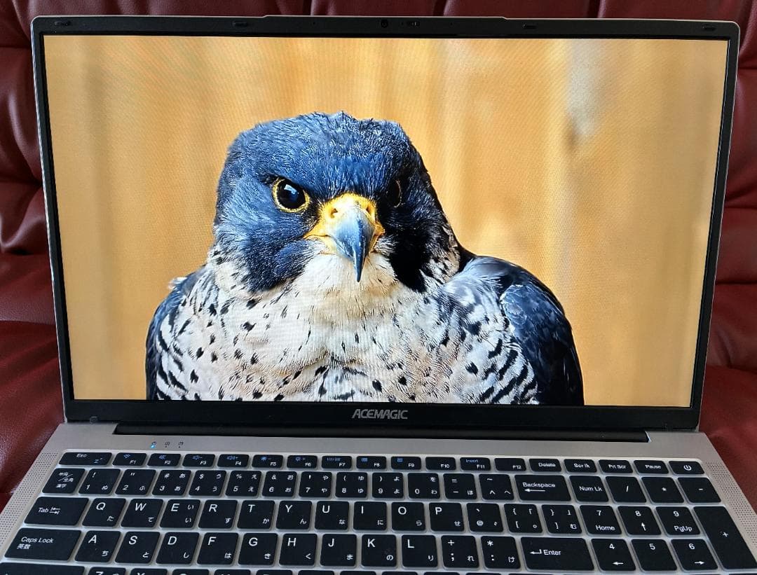 17.3型IPS高画質★16GB/1TB★N97搭載★良好PCマウス付