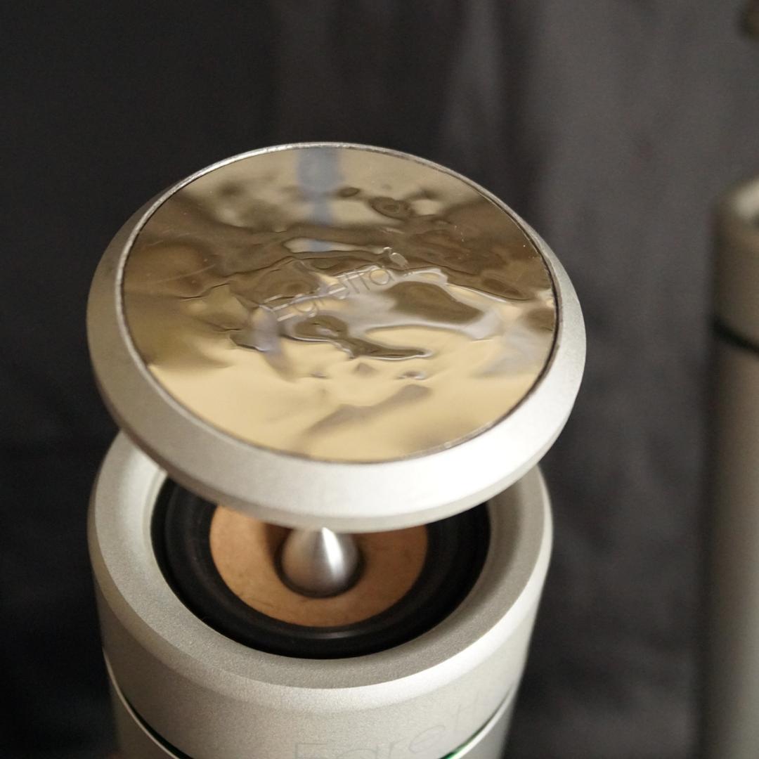 Egretta TS-550 アクティブスピーカー タイムドメインタイプ