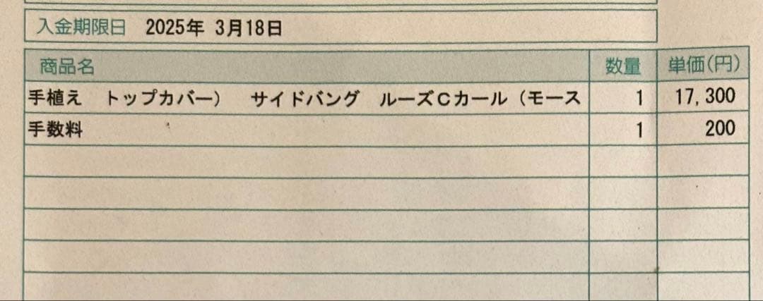 ピンクエイジ 手植え トップカバー サイドバング ルーズCカール