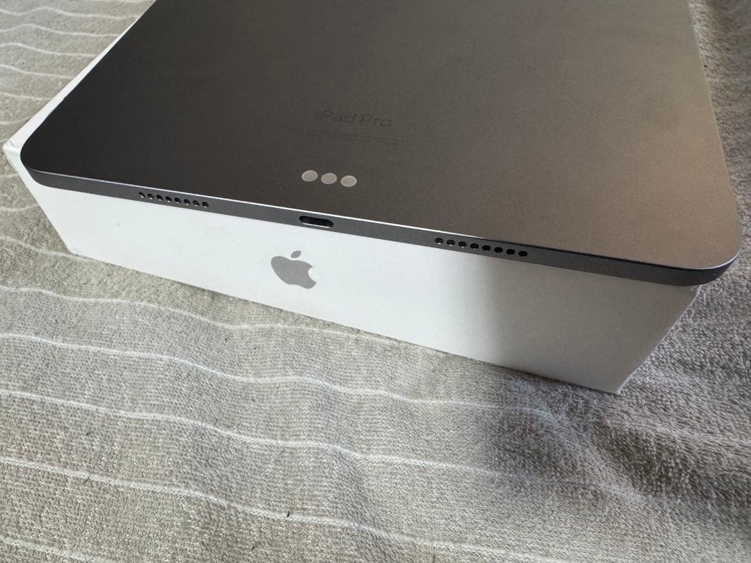 iPadPro11インチ 第4世代 256GB 最大充電容量100%