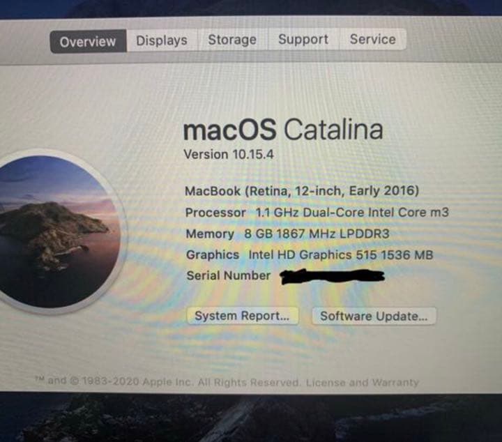 MacBook本体 MacBook (Retina, 12-inch,Early 2016) pro