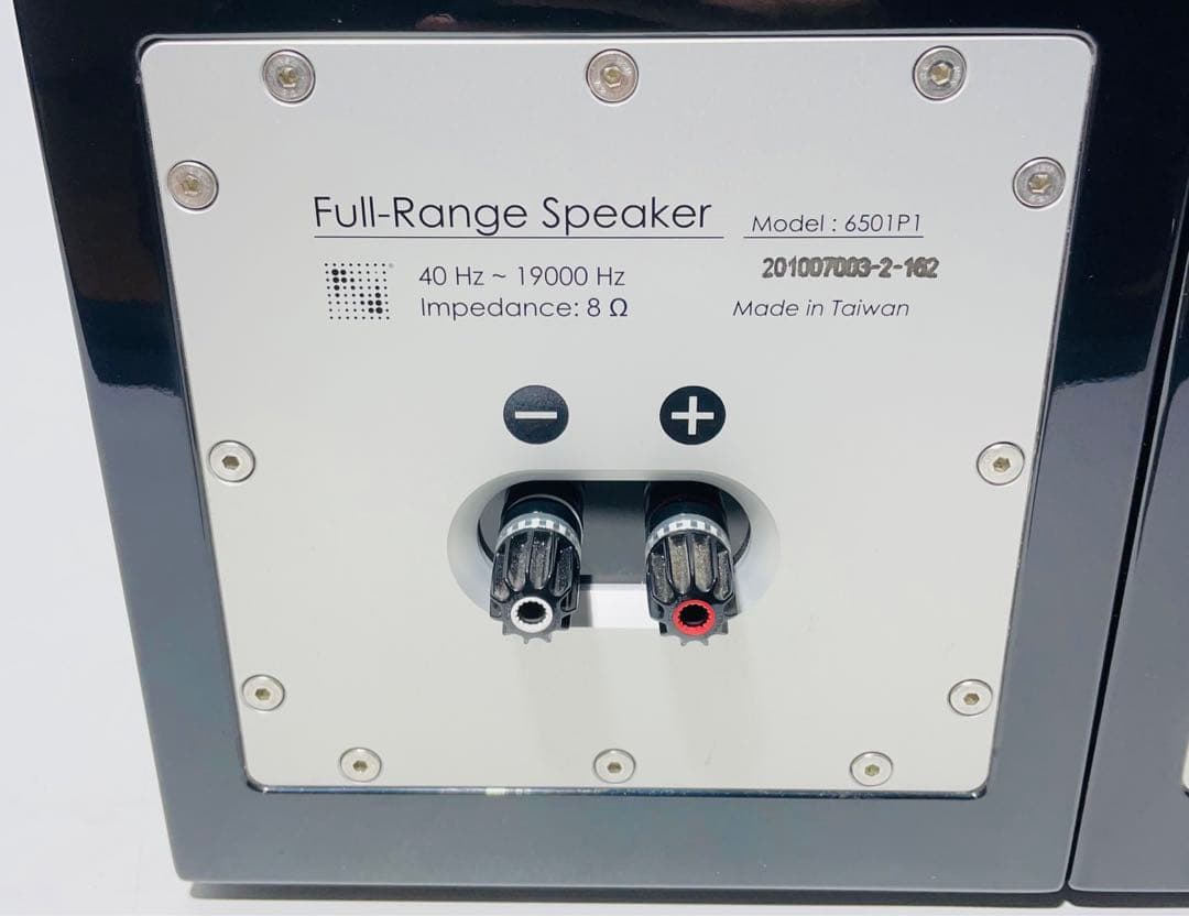 【超高級】定価350万 Naturephone 6501P1 スピーカーペア