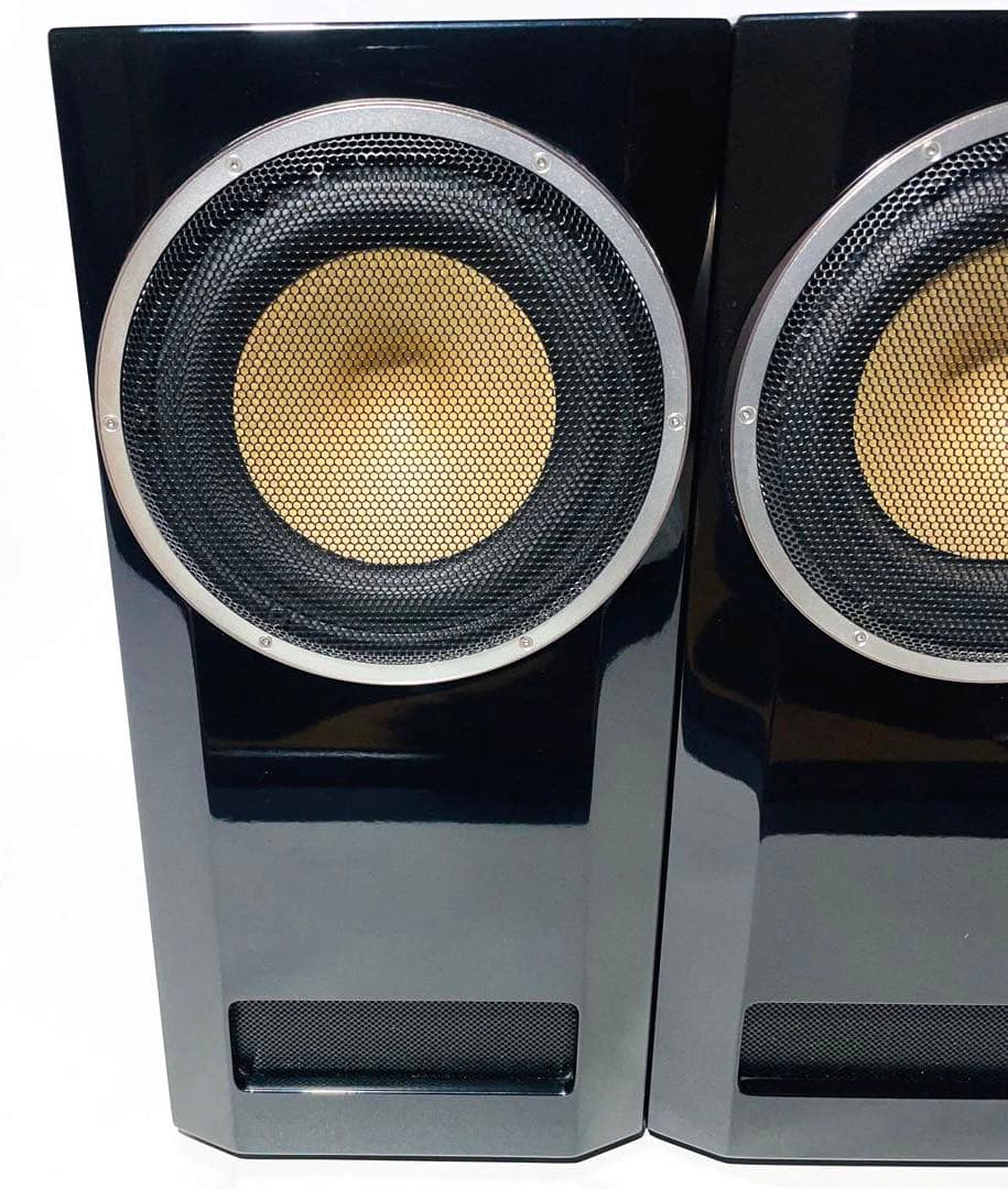 【超高級】定価350万 Naturephone 6501P1 スピーカーペア