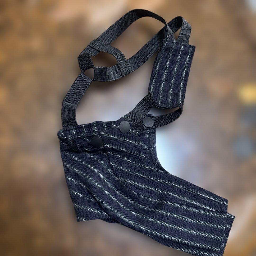 パピリーヒルズ 犬服 Tuxedo set up 黒と白のストライプ