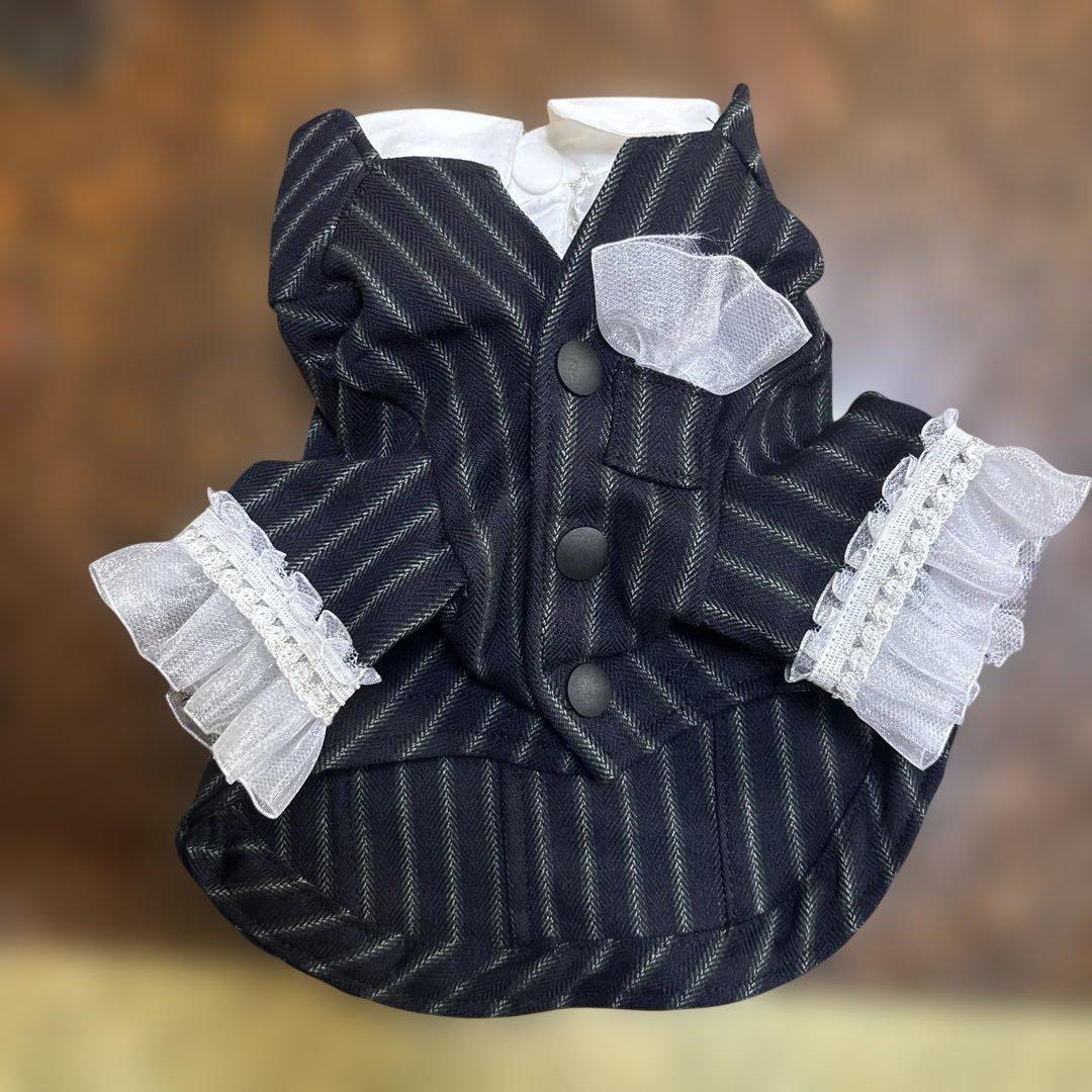 パピリーヒルズ 犬服 Tuxedo set up 黒と白のストライプ