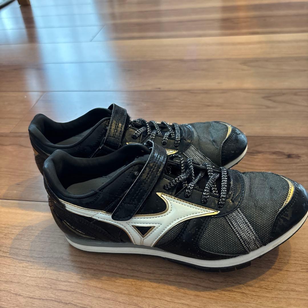 ミズノフィールドジオ AJ-C 24.5cm