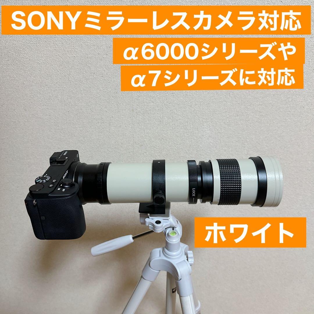 SONYミラーレスカメラに対応！ズームレンズ！おすすめ！初心者でもサポートします