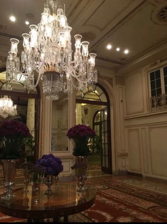 BERNARDAUD ディナープレート　プレート　皿　プラザホテル　NY