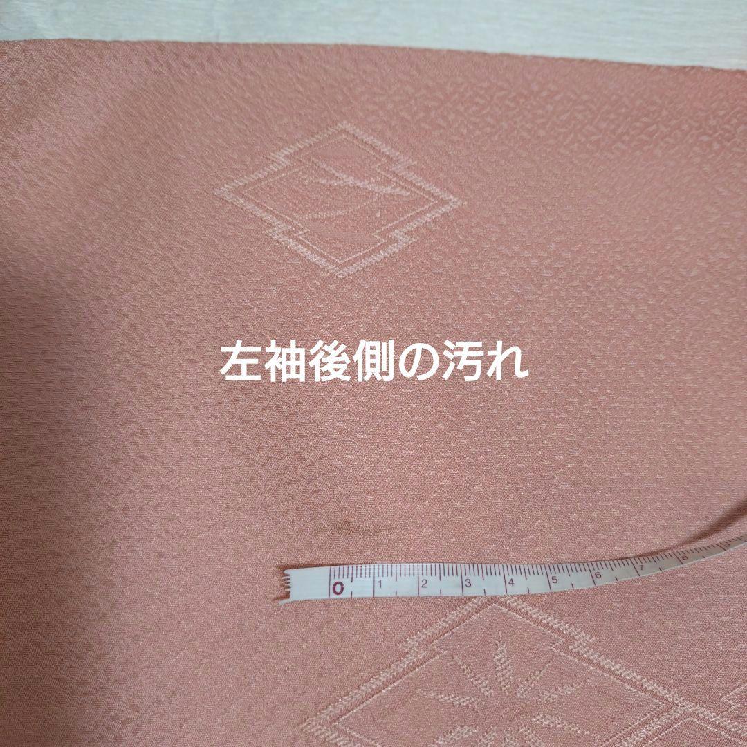 色無地フルセット　5点セット　お買い得♪　入学式　卒業式