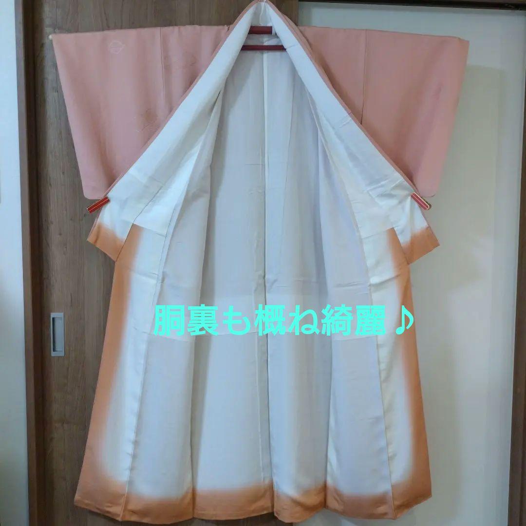 色無地フルセット　5点セット　お買い得♪　入学式　卒業式