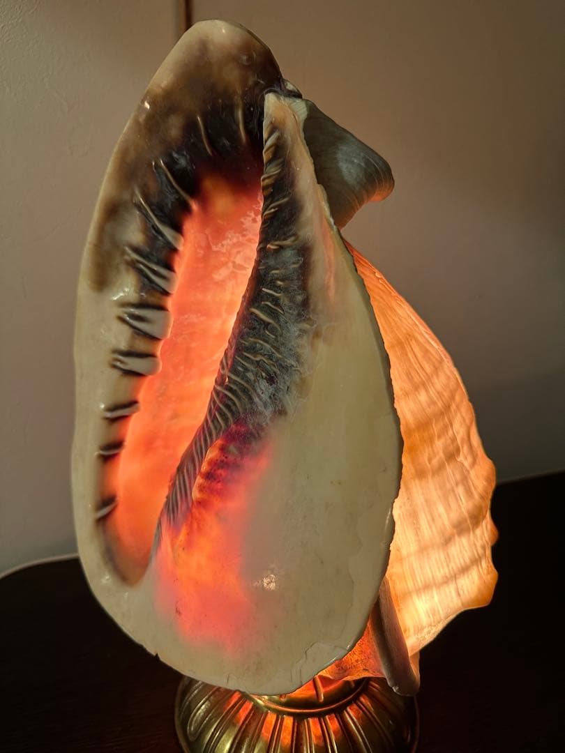 シェルランプ　アンティーク　貝殻の彫刻ランプ　カメオ