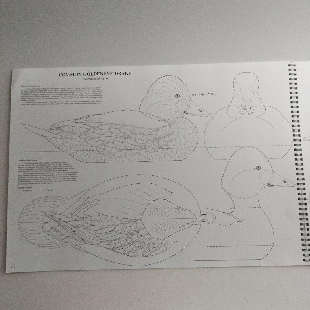 バードカービング教本２冊 パトリック ゴディンのカモとロニーダイのハヤブサ