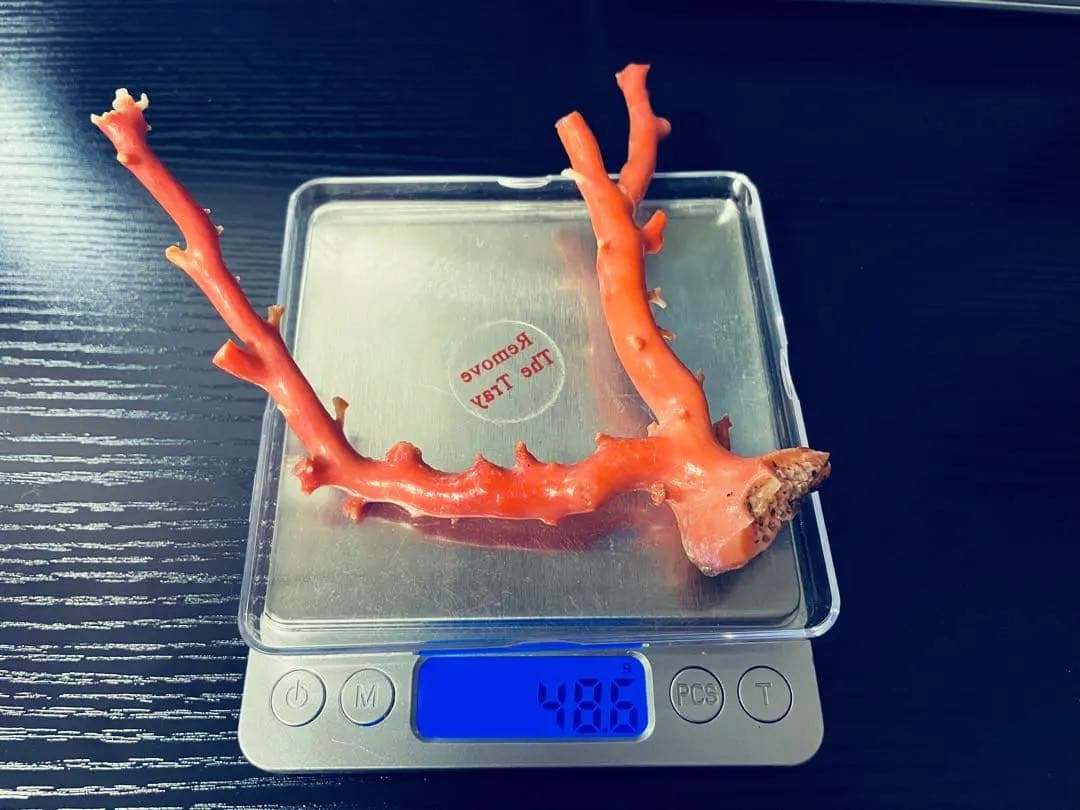 本珊瑚　珊瑚原木　宝石珊瑚　置物　桃珊瑚　赤珊瑚　コーラル　ルース　研磨済