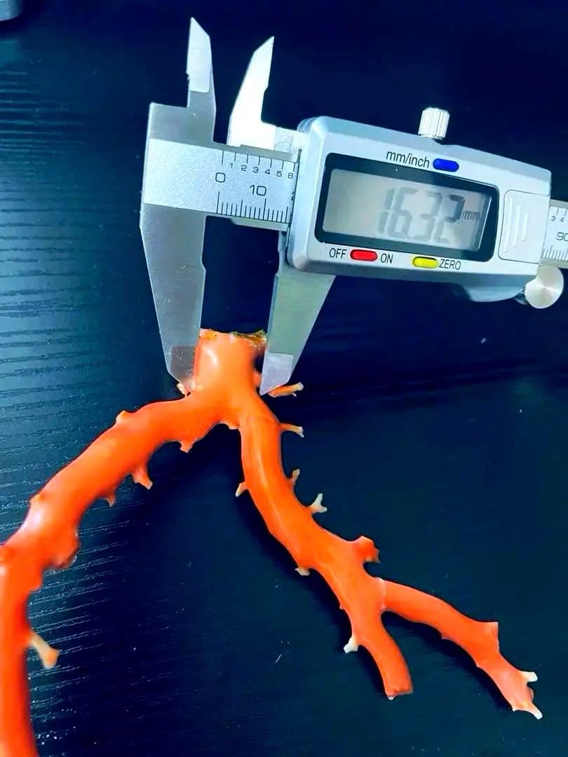 本珊瑚　珊瑚原木　宝石珊瑚　置物　桃珊瑚　赤珊瑚　コーラル　ルース　研磨済