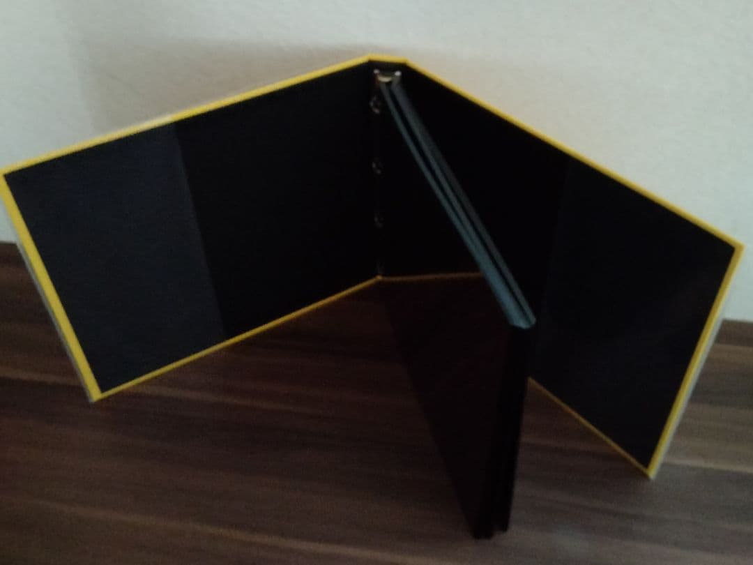 DELFONICS デルフォニクス フォトアルバム L ３冊 粘着台紙45シート