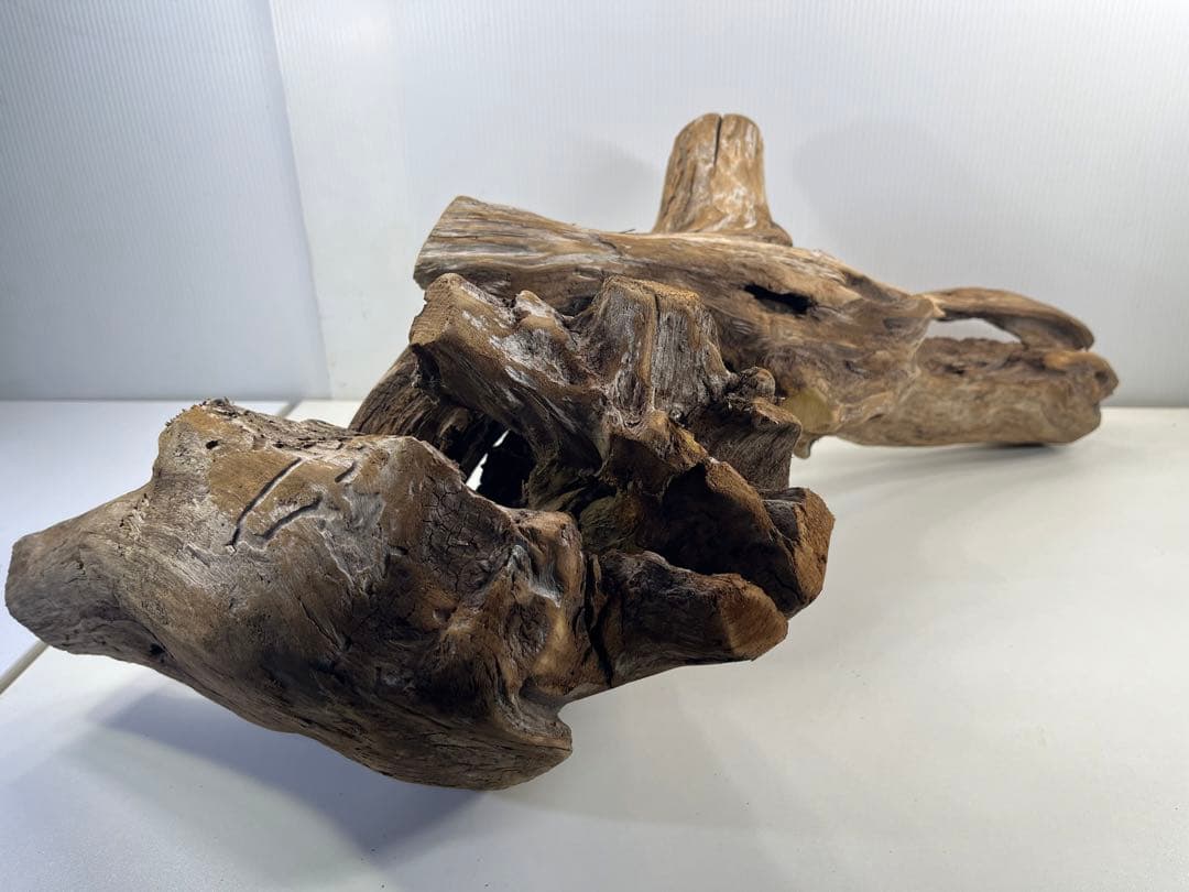 V70特大流木 アク抜き済み流木 爬虫類シェルター 登り木 インテリア 生け花