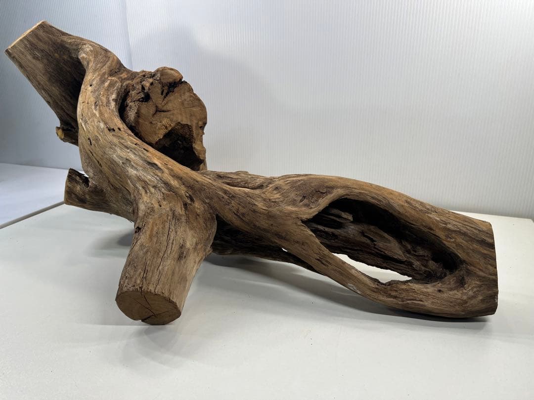 V70特大流木 アク抜き済み流木 爬虫類シェルター 登り木 インテリア 生け花