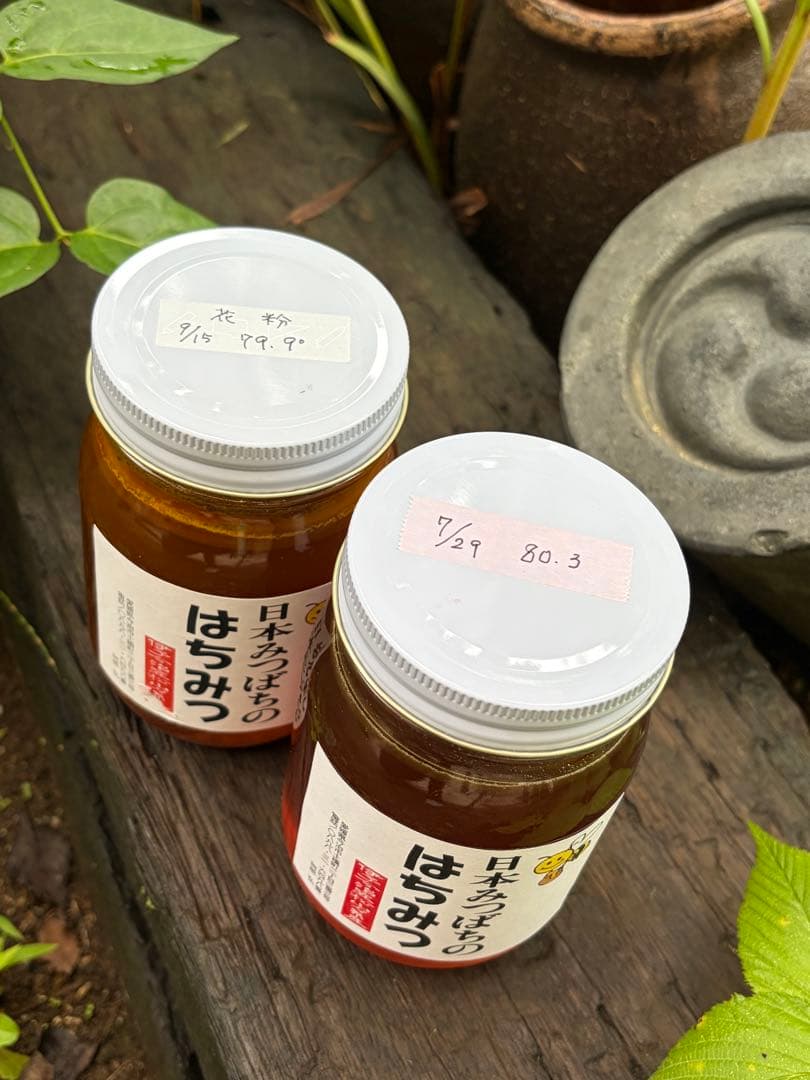 はちみつ　日本蜜蜂のハチミツ　奥山の奥の蜂蜜と花粉入りハチミツ