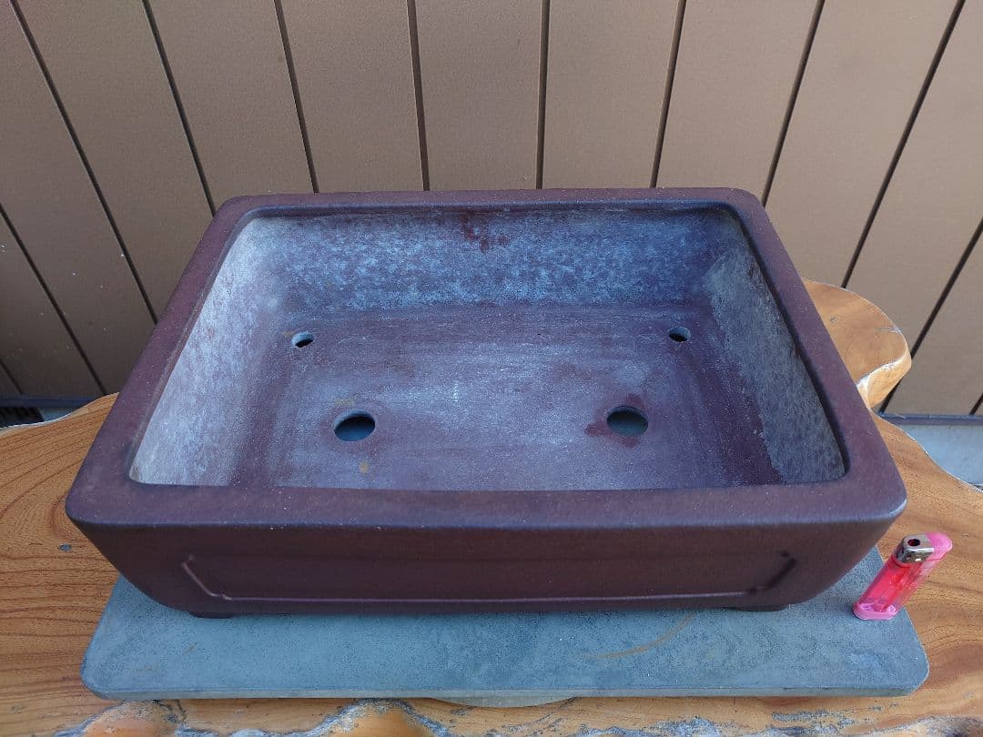 盆栽　鉢　山秋　幅41cm