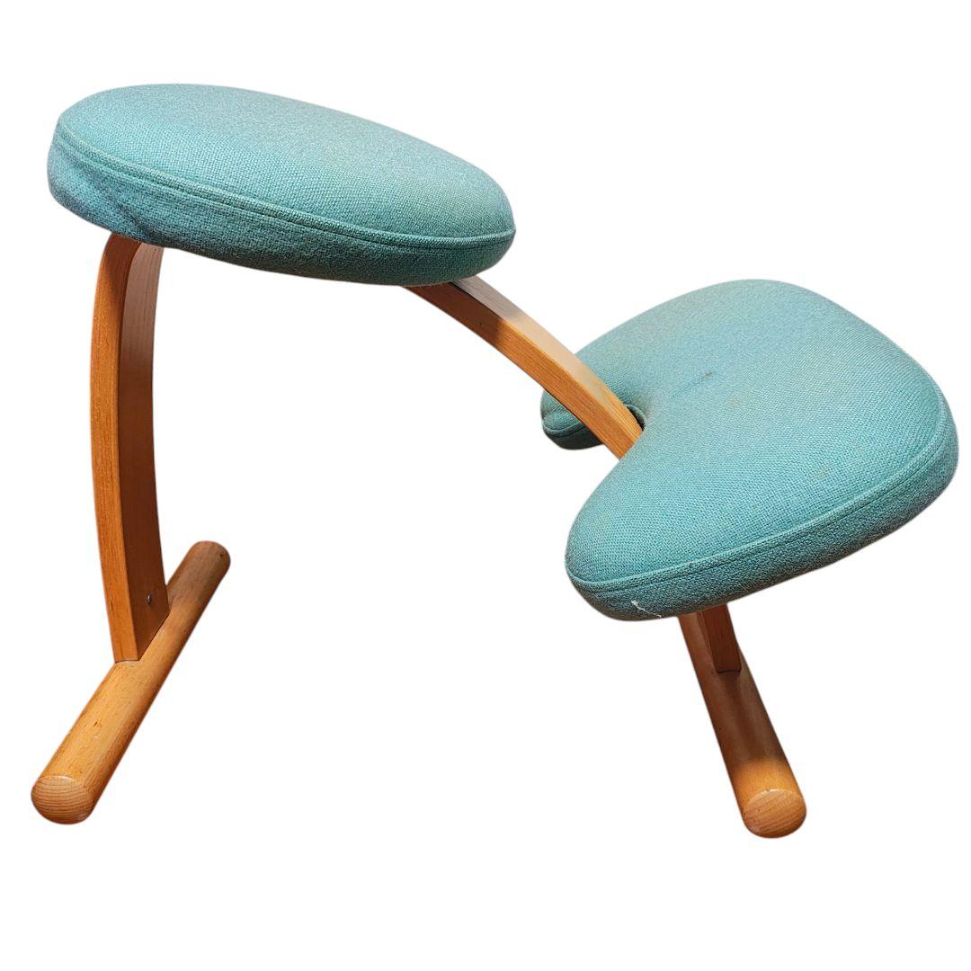 【送料無料】バランスラボ (旧サカモトハウス) バランスチェア