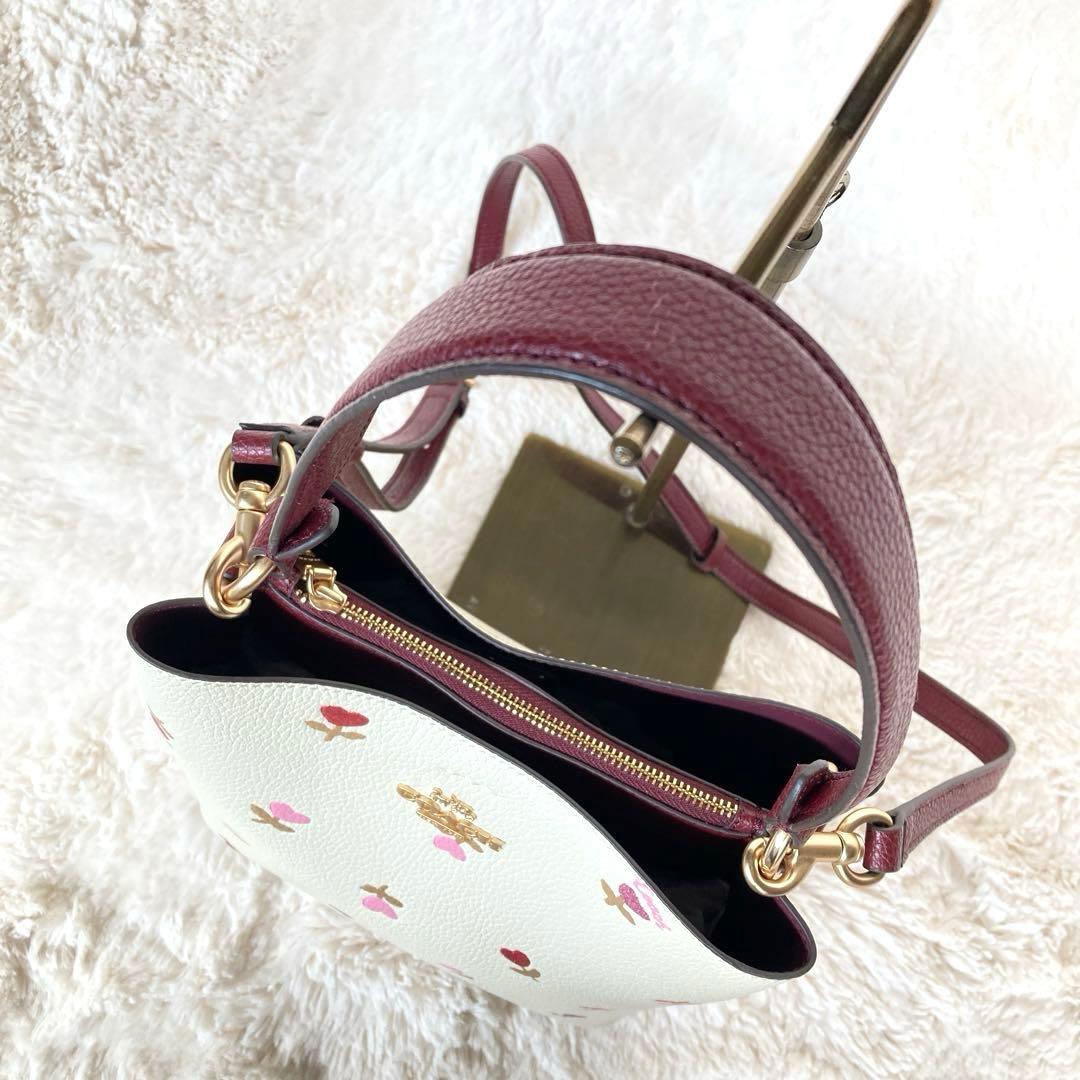 COACH コーチ ハートフローラル2wayバケットショルダーバッグ
