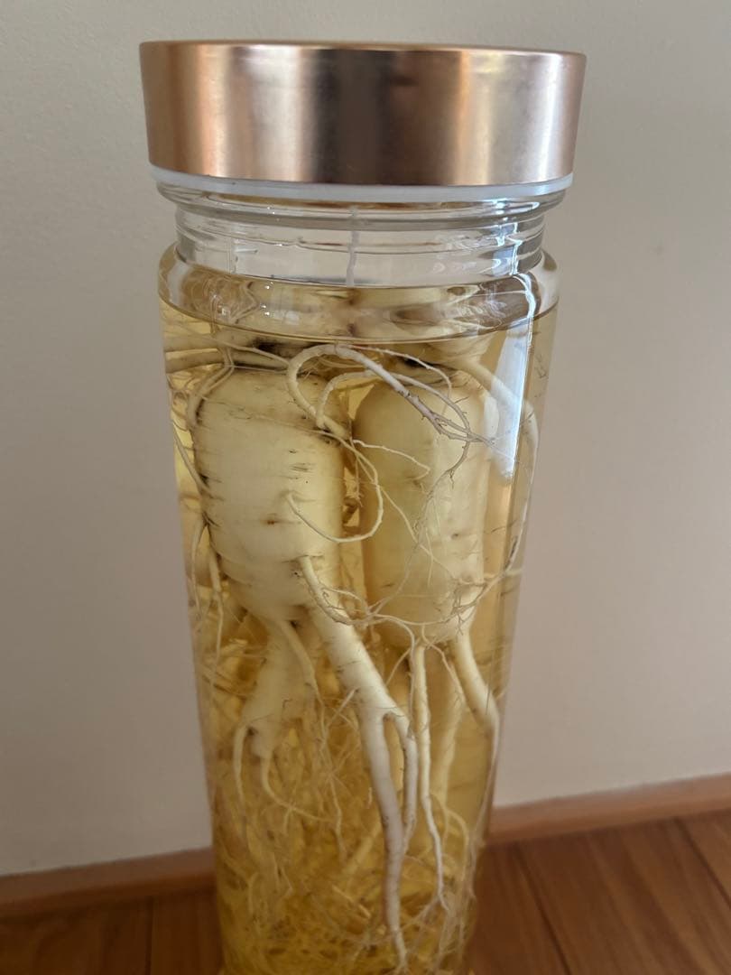 未開栓 朝鮮人参酒 古酒 健康酒 薬酒