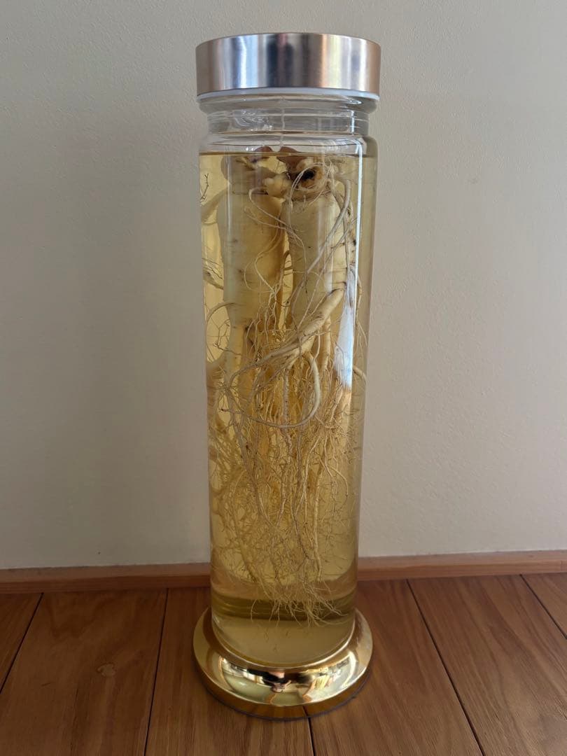 未開栓 朝鮮人参酒 古酒 健康酒 薬酒