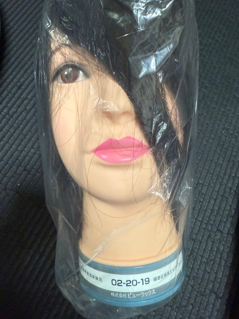 国家試験用カットウィッグ 3体セット