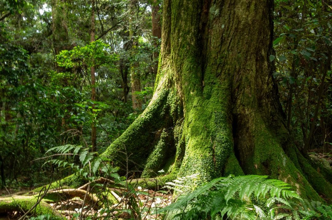 【dakun】ペンタックス　PENTAX K-30 ブラック